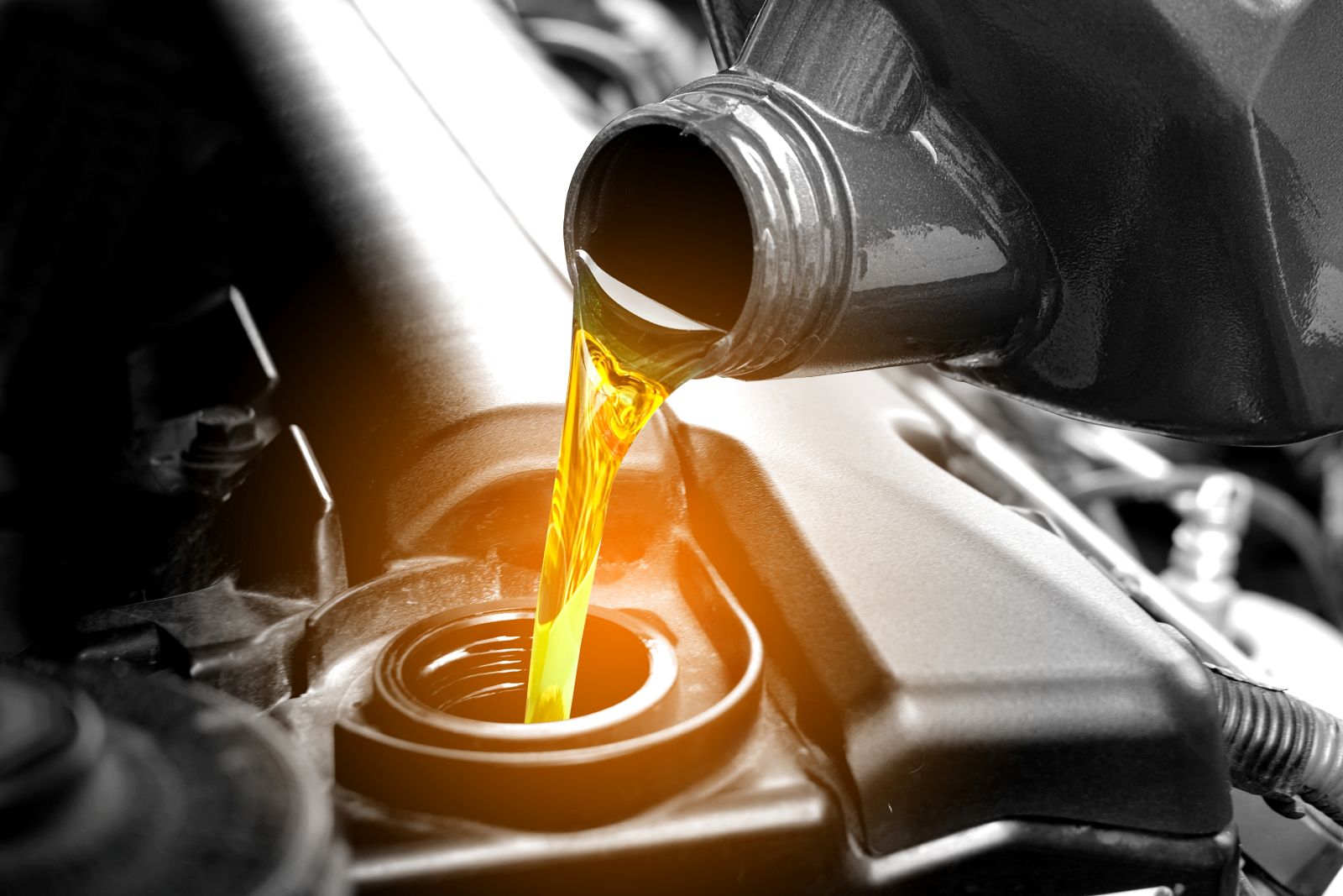 Audi oil change service in Naples, Florida
