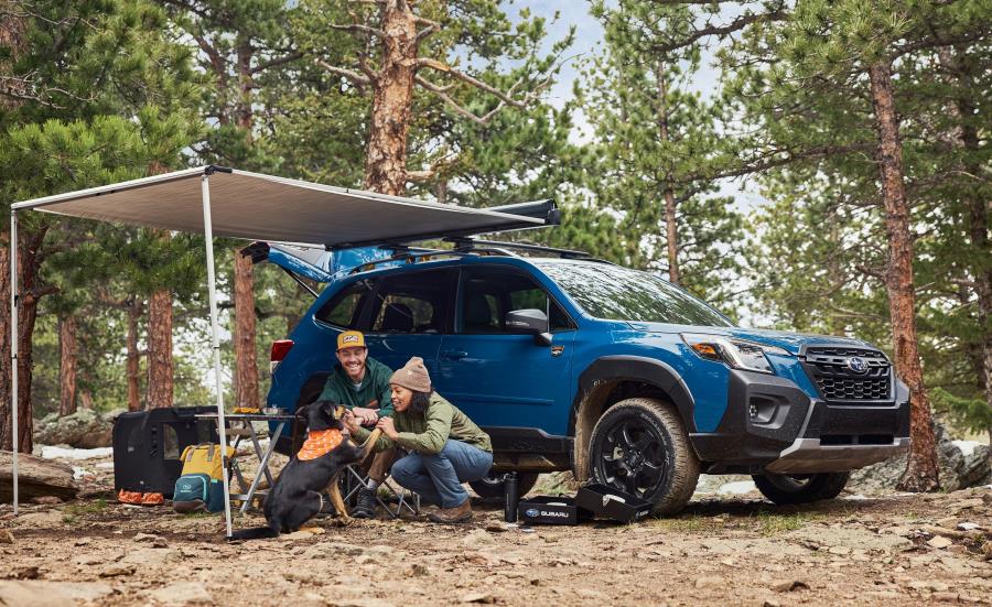Subaru Forester with Thule awning, Subaru camping setup Haverhill, Forester camping accessories New England, genuine Subaru outdoor gear, Subaru off-grid adventure kit, Subaru Forester tailgate setup with awning, camping with dogs Subaru Forester, Subaru forest adventure near Harold Parker, Subaru cargo accessories Haverhill MA, family camping gear Forester