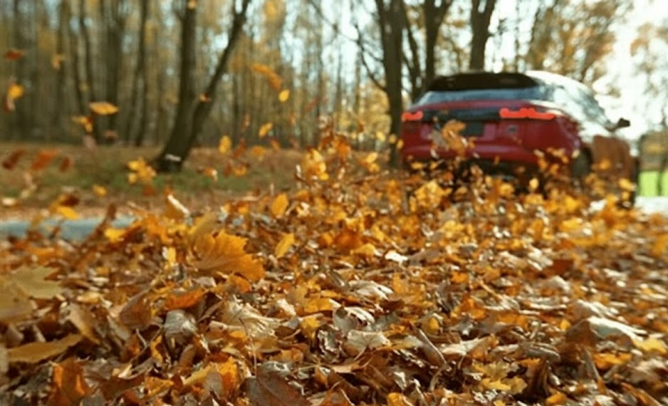 red crossover driving through fallen autumn leaves on wooded road, wet leaves flying behind vehicle, slippery fall road surface near Charlotte NC, Piedmont leaf debris reflecting headlights, hazardous leaf-covered pavement, Scott Clark Nissan fall driving safety, Nissan Rogue style SUV, Charlotte I-77 and neighborhood roads in autumn, need for proper headlights and wipers, fall driving visibility challenges