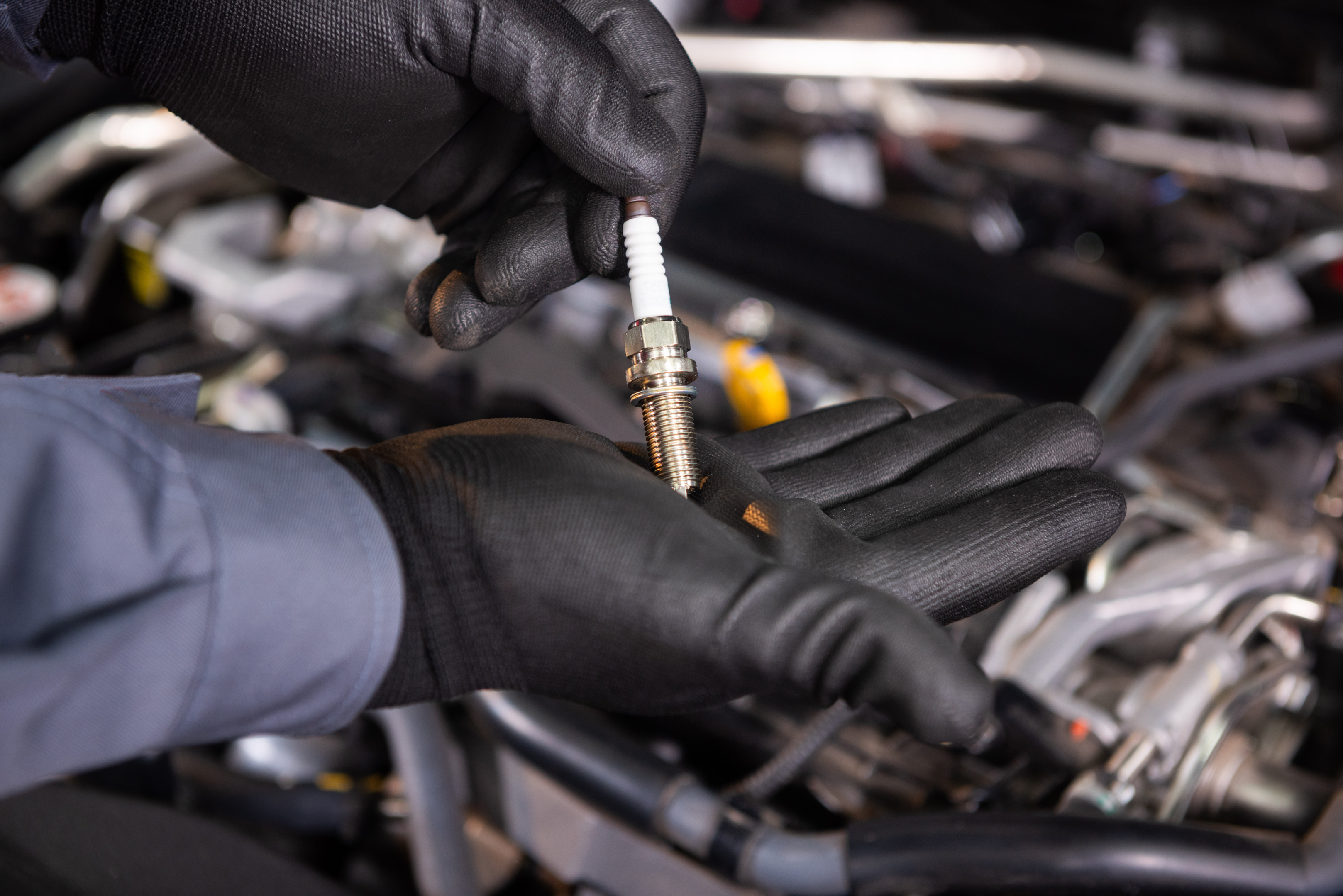 how often to replace spark plugs, motorcraft spark plugs, how often do you change spark plugs, ford motorcraft, how often should i change my spark plugs, motorcraft spark plug, platinum spark plugs, ford f150 spark plugs, ford spark, when should you change spark plugs, when to change plugs, f150 spark plugs, ford spark plug removal tool, ford spark plug repair kit, how often should i replace spark plugs, oem spark plugs, how often do i replace spark plugs, ford 5.4 spark plug, motor craft spark plugs, motorcraft sparkplugs, when should spark plugs be changed, when should you change your spark plugs, 5.4 ford spark plug, focus st spark plugs, ford 150 spark plugs, ford 4.6 spark plug repair kit, ford 5.4 spark plug repair kit, ford focus spark plugs, ford fusion spark plugs, ford motor co parts, spark plug ford, when should i replace spark plugs, 2.3 ford ranger 4 cylinder 8 spark plugs, 2004 ford f150 spark plugs, 2005 ford f150 spark plugs, 2012 ford focus spark plugs, ford 8n spark plug, ford spark plug gap chart, motorcraft spark plug chart, spark plug change interval, 2.3 liter ford ranger 4 cylinder 8 spark plugs, 2004 ford f-150 spark plugs, 2006 ford f-150 spark plugs, 2006 ford f150 spark plugs, 2010 ford fusion spark plugs, 2014 ford focus spark plugs, 2016 ford fusion spark plug gap, ford 2004 f150 spark plugs, ford 2006 f150 spark plugs, ford 5.4 spark plug removal tool