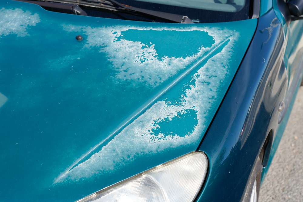 Nissan sun damage Gainesville FL, clearcoat peeling UV exposure Florida, Florida sun damage car paint, Nissan exterior protection Gainesville, automotive clearcoat failure heat, Florida car maintenance summer sun, UV damage to Nissan hood paint, prevent sun-related car damage Gainesville Nissan Service Center