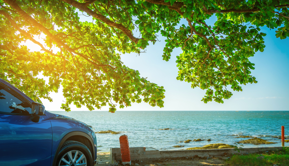 Nissan parked under shade tree Gainesville FL, car sun protection parking Florida, UV protection for Nissan in Gainesville, shaded parking near ocean, prevent sun damage to car exterior Florida, Gainesville car care summer heat, best parking tips Florida sunshine, coastal car protection strategies