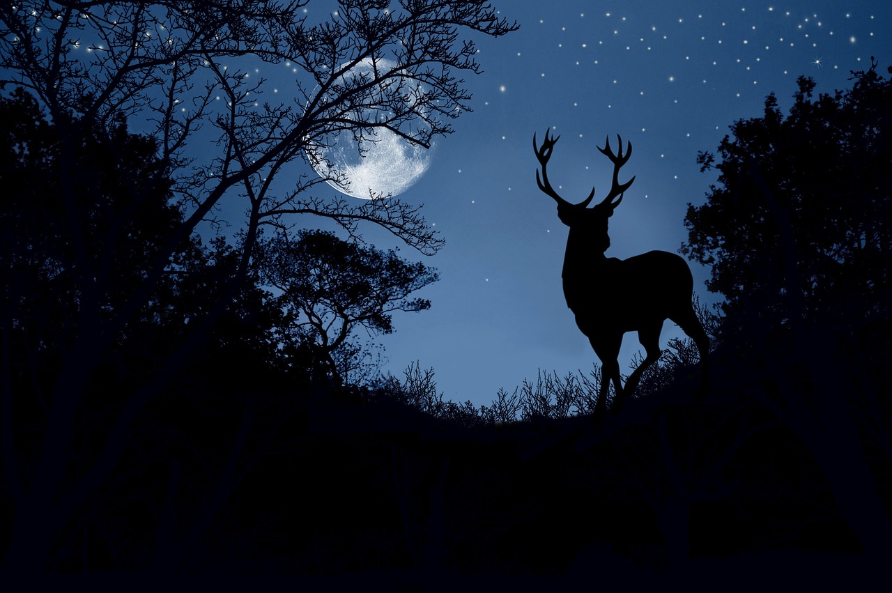 silhouette of white tailed deer in moonlit forest, nighttime deer near Georgia roadway, November rut season Athens GA, wildlife hazard for drivers, deer crossing risk on rural roads, starry sky over wooded landscape, reminder to check headlights before deer season, Nissan of Athens Service safety message, dark forest scene illustrating deer collision danger, Athens Clarke County nighttime driving conditions
